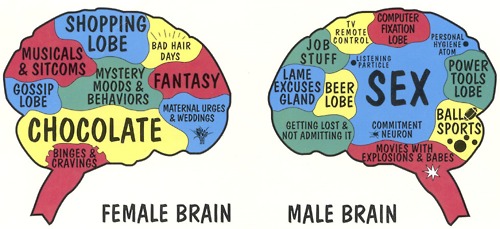 Mark Gungor Men Vs Women S Brains 111